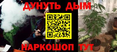 сатива Нальчик