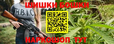 сатива Нальчик