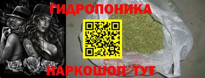 сатива Нальчик